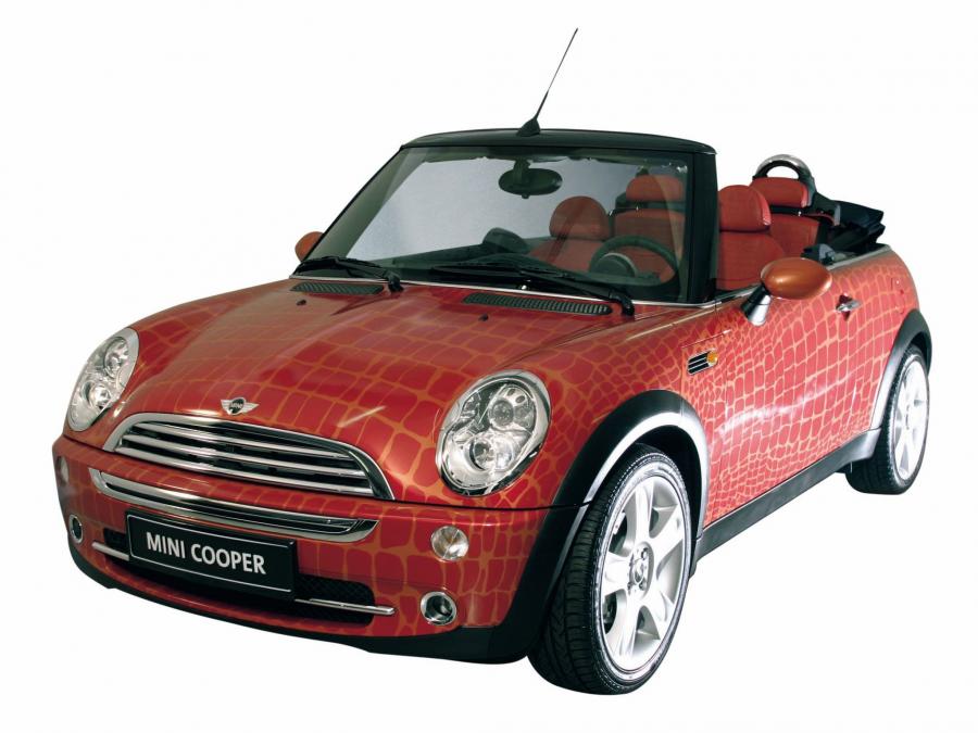  Mini Cooper Cabrio by Gianfranco Ferre 2004 года  (фото 1 из 5)